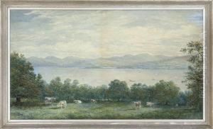 A View Towards The Clyde From Broadfield
