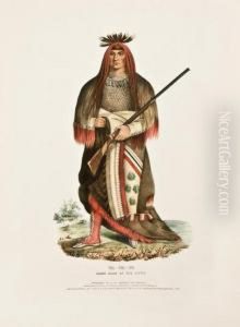 Wa-na-ta, The Charger, Grand Chief Of The Sioux. by Thomas A. Woolnoth