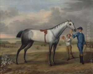 A Grey Racehorse Held By A Jockey