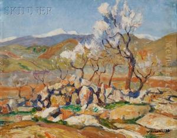 Almond Trees - view 1