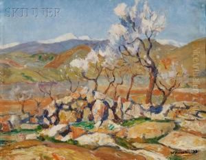 Almond Trees by Albert Worcester
