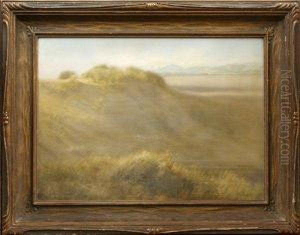 Sand Dunes - view 1