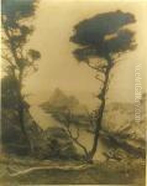 California Coastal Scenes - view 1