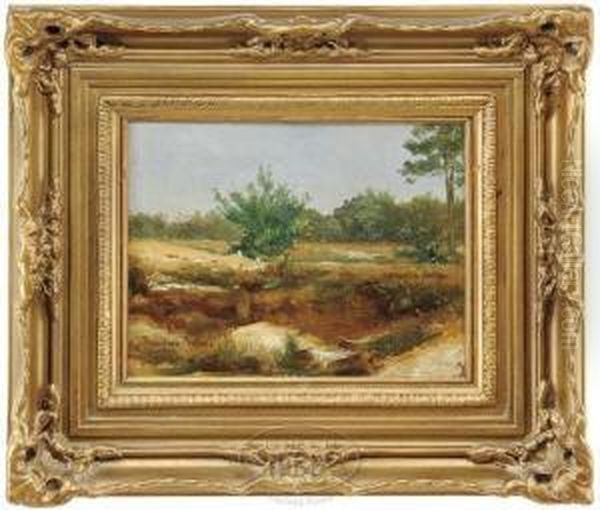 California Landscape - view 1