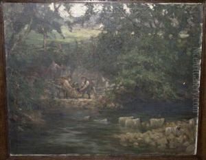 Sheep Dipping Sheep Dipping