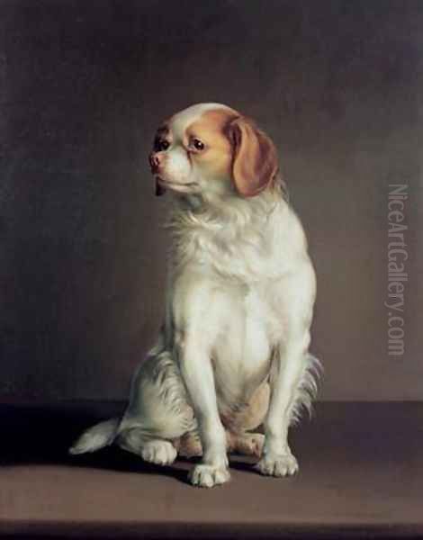Portrait of a King Charles Spaniel - view 1