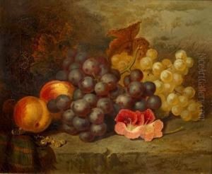 Still Life With Grapes by Thomas Worsey