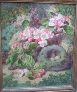 Still Life Of Apple Blossom And Birds Nest by Thomas Worsey