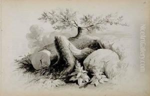 Trees And Rocks by William Henry Worthington