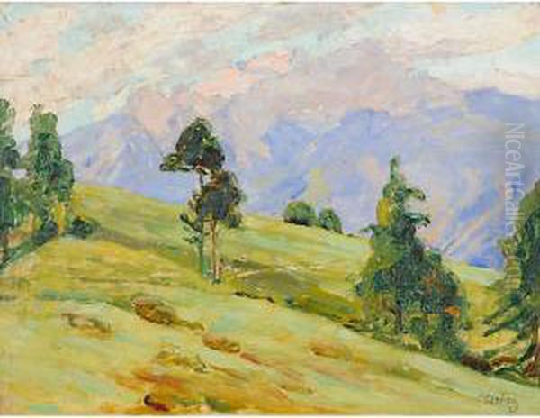 Agosto In Carnia - view 1