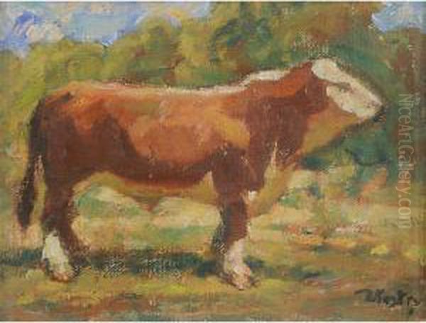 Mucca In Carnia - view 1