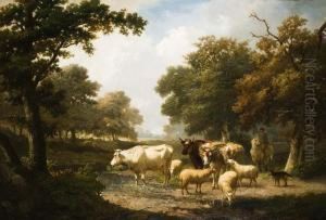Kudde Aan De Drinkplaats