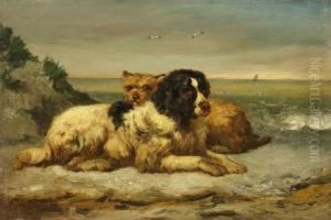 Zwei Hunde Amstrand by Edouard Woutermaertens