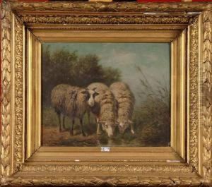 Moutons A La Piece D'eau by Edouard Woutermaertens