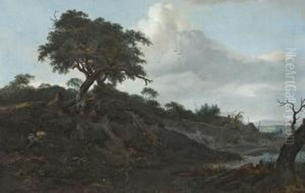 Bewaldete Teichlandschaft - view 1