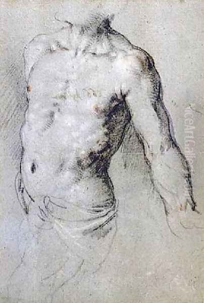 Study of a Male Torso - view 1