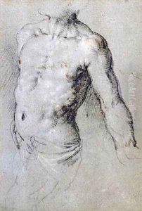 Study of a Male Torso by Paris Bordone
