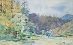 Te Whaiti Near Rotorua by Frank Wright
