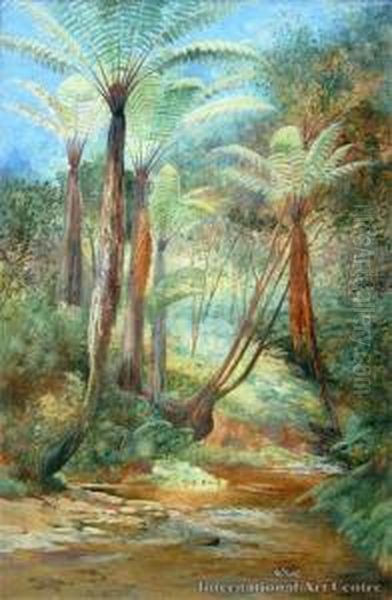 Stream & Ponga - view 1