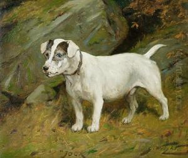 The Terrier 'jock' - view 1