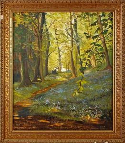 The Bluebell Woods - view 1