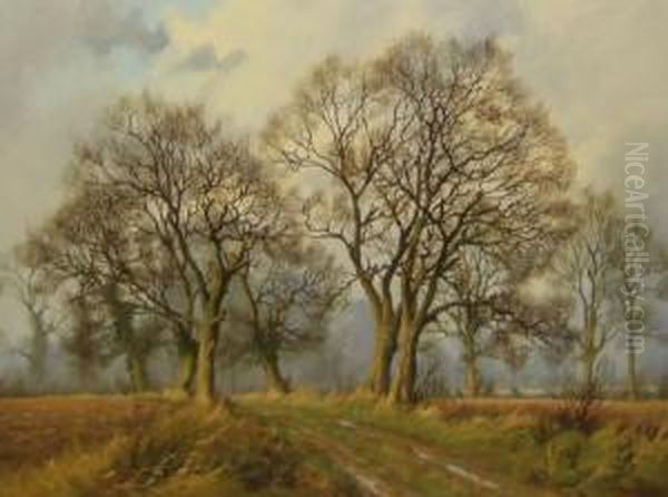 Country Lane - view 1
