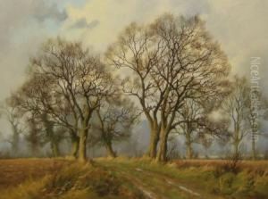 Country Lane by James Wright