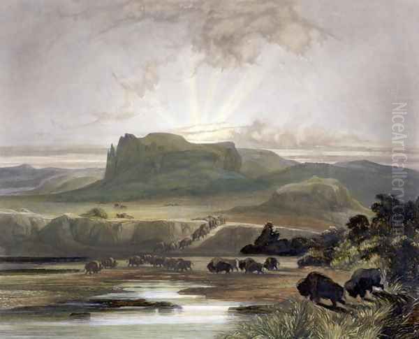 Herd of Bison on the Upper Missouri, plate 40 from Volume 2 of 'Travels in the Interior of North America' - view 1