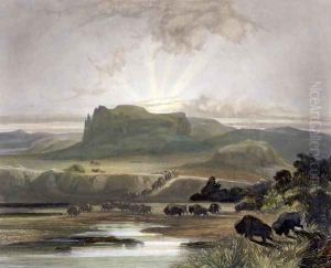 Herd of Bison on the Upper Missouri, plate 40 from Volume 2 of 'Travels in the Interior of North America'