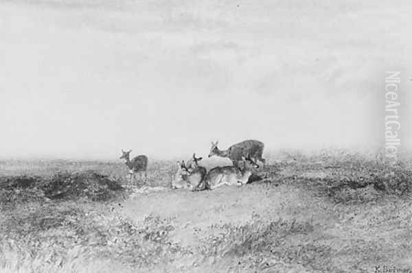 Deer in a Landscape - view 1