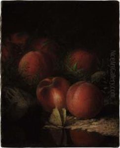 Still Life With Peaches And Moth