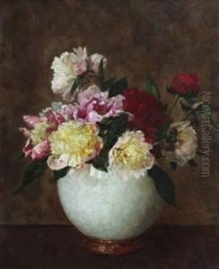 Still Life by M A Wroe