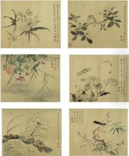 Flowers, Insects And Birds - view 1