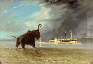 The 'Ma Roberts' and an Elephant in the Shallows, Lower Zambezi 1859