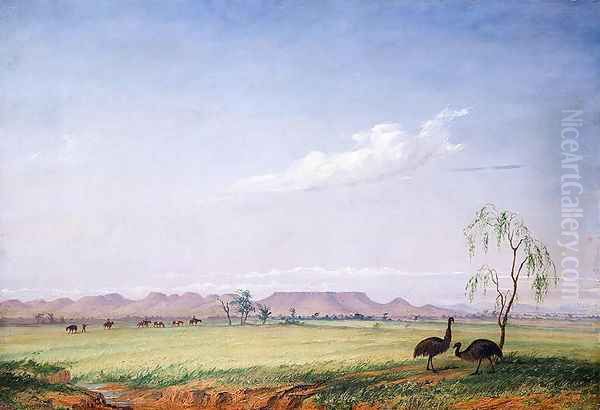 Emus on the Trap Plain - view 1