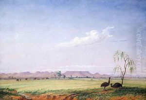 Emus on the Trap Plain