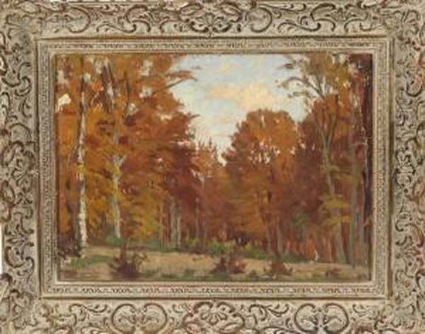Herbstwald - view 1