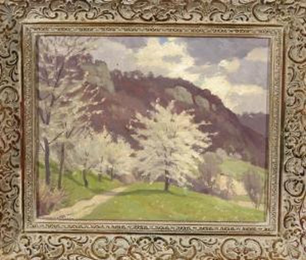 Schwabische Fruhlingslandschaft - view 1
