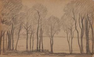 Laubbaume Am Ufer Eines Sees by Gustav Wunderwald