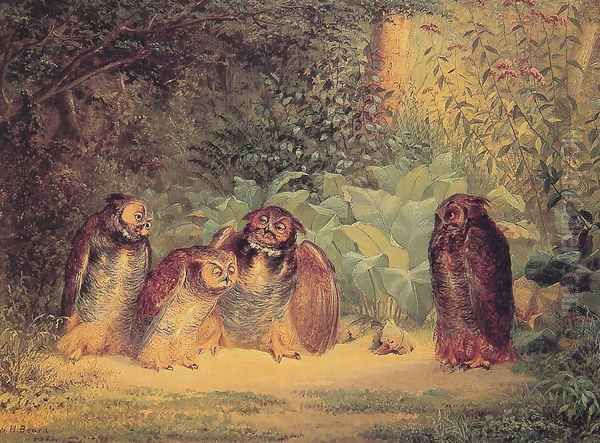 Owls - view 1
