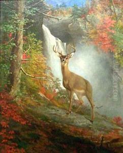 Majestic Stag