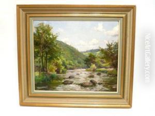 "l'ambleve" - view 1