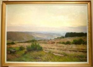 "paysage". by Xavier Wurth