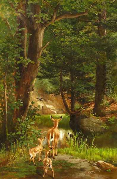 Life in the Forest - view 1