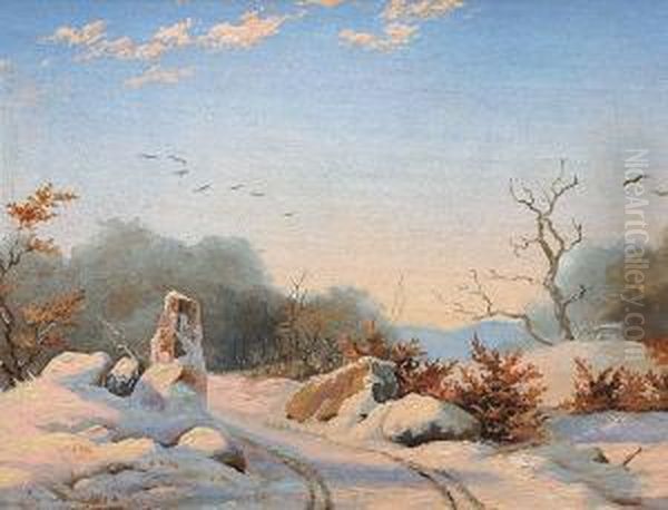 A Forest In The Winter Sunshine - view 1