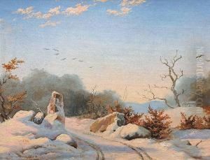 A Forest In The Winter Sunshine