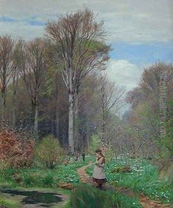Picking Anemones in Hunderup Forest