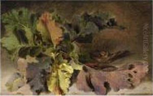 Etudes De Plantes Avec De Grandes Feuilles by Michael Wutky