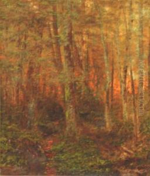 Sunset Through The Trees - view 1