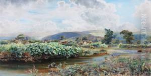 Riverside Pastures